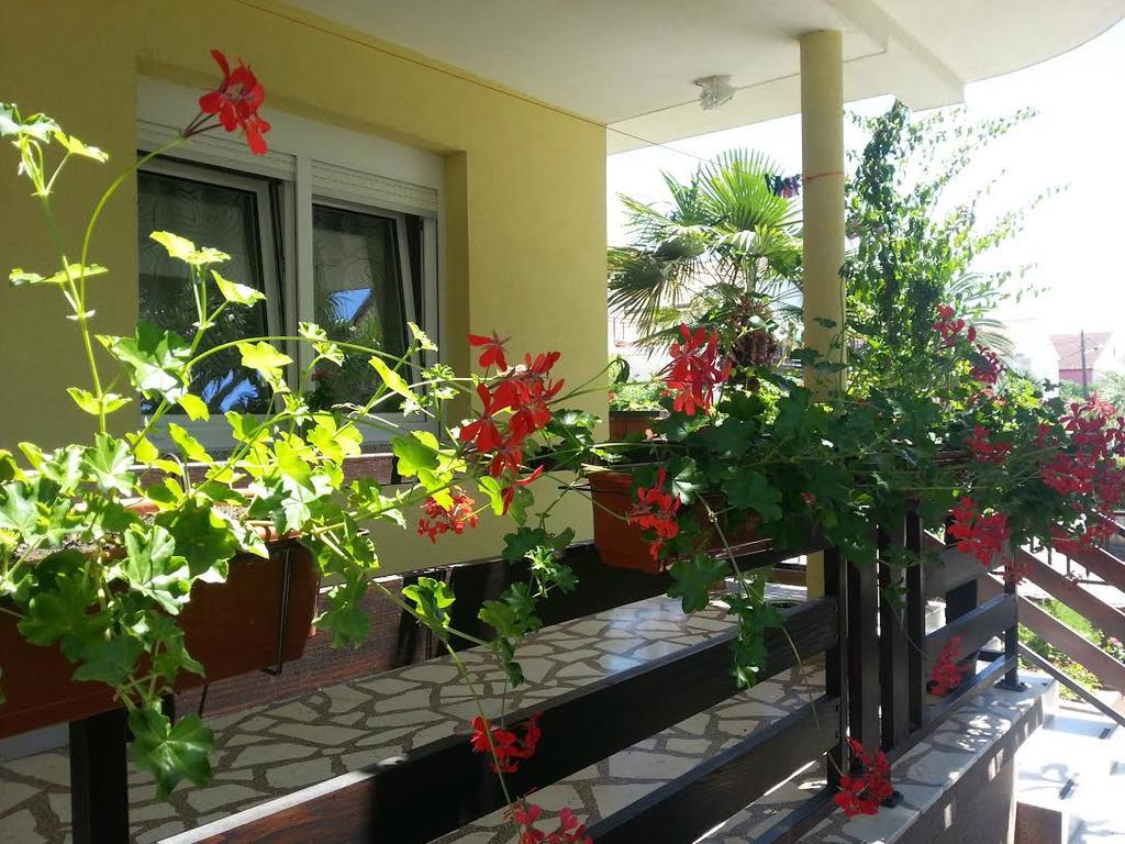 זאדאר Apartment Perunika מראה חיצוני תמונה